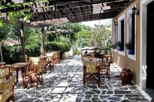 Vagia Hotel_best prices_in_Hotel_Piraeus islands - Trizonia_Aigina_Aigina Rest Areas