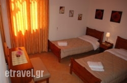 Olive Villas hollidays