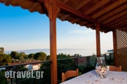 Manos Studios hollidays