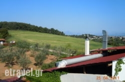 Paradise hollidays Paradise hollidays