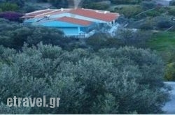 Villa Xenia hollidays