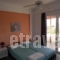 Ktima-Lila_holidays_in_Room_Peloponesse_Argolida_Thermisia