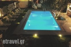 Tree Of Life hollidays Tree Of Life hollidays