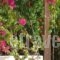Androulakis Apartments_best deals_Apartment_Crete_Chania_Platanias