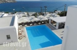 Lithos By Spyros & Flora hollidays Lithos By Spyros & Flora hollidays