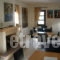 Guesthouse Park of Nestorio_best prices_in_Room_Macedonia_kastoria_Nestorio