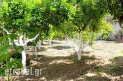 Hariklia hollidays Hariklia hollidays