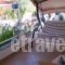 Avokanto_holidays_in_Apartment_Peloponesse_Ilia_Kylini