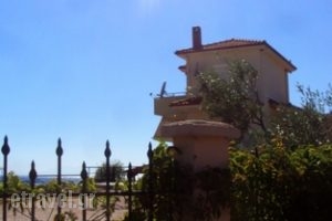 Monopetro_best prices_in_Apartment_Macedonia_Halkidiki_Poligyros