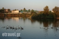 Xenonas Thrassa hollidays Xenonas Thrassa hollidays