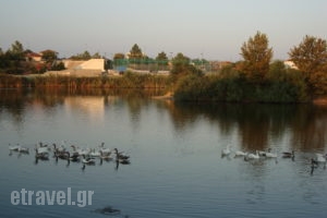 Xenonas Thrassa_accommodation_in_Hotel_Thraki_Evros_Tichero