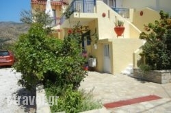 Elli hollidays Elli hollidays